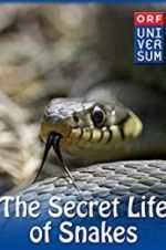 Watch The Secret Life of Snakes Zoechip