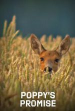 Watch Poppy\'s Promise: Secret Life in a Cornfield Zoechip