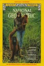 Watch Search for the Great Apes Zoechip