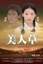 Watch The Foliage Zoechip