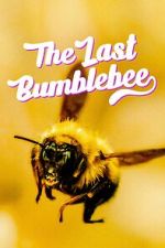 Watch The Last Bumblebee Zoechip