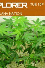 Watch Marijuana Nation Zoechip
