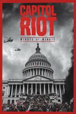 Watch Capitol Riot: Minute by Minute Zoechip