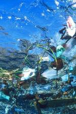 Watch Garbage Island Zoechip