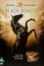Watch Black Beauty Zoechip
