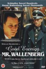 Watch Good Evening, Mr. Wallenberg Zoechip