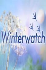 Watch Winterwatch Zoechip