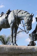 Watch War Horse: The Real Story Zoechip