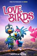 Watch Love Birds Zoechip