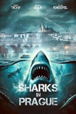 Watch Sharks in Prague Zoechip