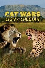Watch Cat Wars: Lion Vs. Cheetah Zoechip