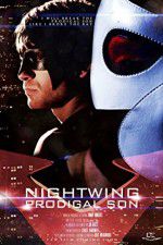 Watch Nightwing Prodigal Son Zoechip