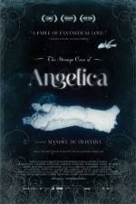 Watch The Strange Case of Angelica Zoechip