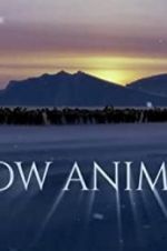 Watch Snow Animals Zoechip