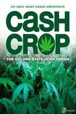 Watch Cash Crop Zoechip