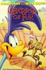 Watch Ready Woolen and Able Zoechip