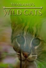 Watch Thailand's Wild Cats Zoechip