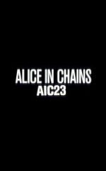 Watch Alice in Chains: AIC 23 Zoechip