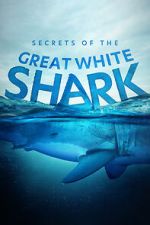 Watch Secrets of the Great White Shark Zoechip