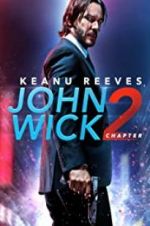 Watch John Wick Chapter 2: Wick-vizzed Zoechip