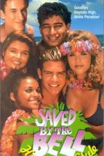 Watch Saved by the Bell Hawaiian Style Zoechip