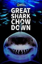 Watch Great Shark Chow Down Zoechip