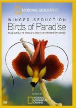 Watch Winged Seduction: Birds of Paradise Zoechip
