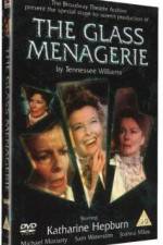 Watch The Glass Menagerie Zoechip