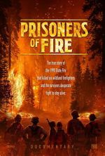 Watch Prisoners of Fire Zoechip