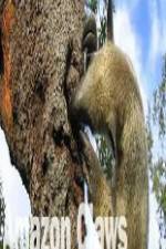 Watch National Geographic Wild Amazon Claws Zoechip