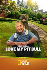 Watch Cesar Millan: Love My Pit Bull Zoechip