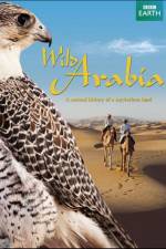 Watch Wild Arabia Zoechip