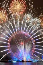 Watch New Year\'s Eve Fireworks From London Zoechip