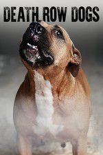 Watch Death Row Dogs Zoechip