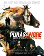 Watch Purasangre Zoechip