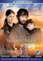 Watch Love Finds You in Sugarcreek Zoechip
