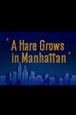 Watch A Hare Grows in Manhattan Zoechip