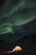 Watch The Last Igloo Zoechip