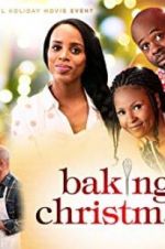 Watch Baking Christmas Zoechip