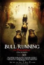 Watch Encierro 3D: Bull Running in Pamplona Zoechip