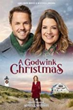Watch A Godwink Christmas Zoechip