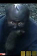 Watch The Legend of Catman Zoechip