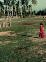 Watch Hometown Zoechip