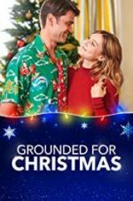 Watch Grounded for Christmas Zoechip