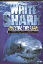 Watch National Geographic white shark:outside the cage Zoechip