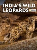 Watch India\'s Wild Leopards (Short 2020) Zoechip