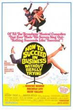 Watch How to Succeed in Business Without Really Trying Zoechip