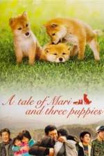 Watch Mari to koinu no monogatari Zoechip