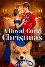 Watch A Royal Corgi Christmas Zoechip