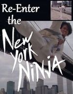 Watch Re-Enter the New York Ninja Zoechip